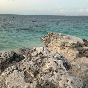 Meet your Posher, Alexabdra